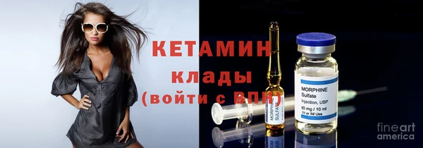 шишки Пестово