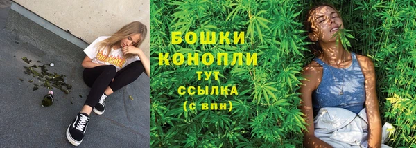 ПСИЛОЦИБИНОВЫЕ ГРИБЫ Покачи