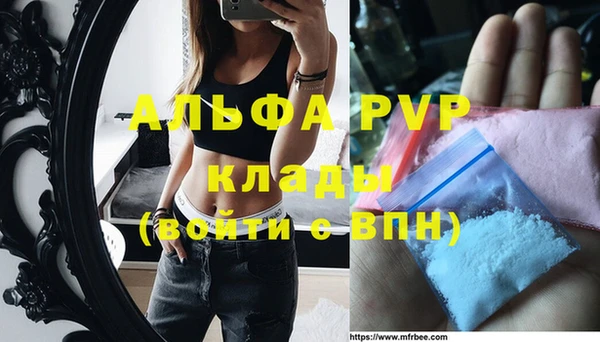 шишки Пестово