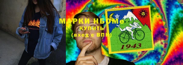 шишки Пестово