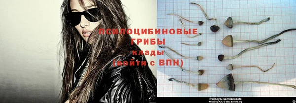 эйфоретик Тихвин