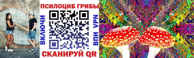 Галлюциногенные грибы GOLDEN TEACHER  закладка  Динская 
